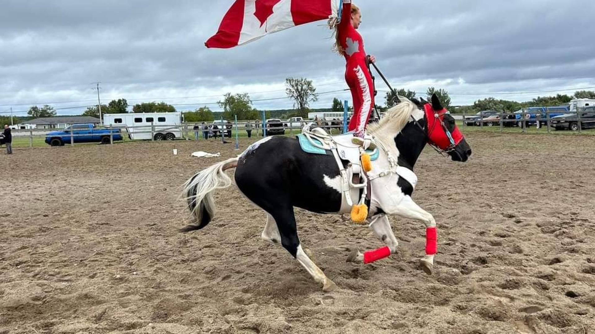black and white horse with a rider holding a canada flag